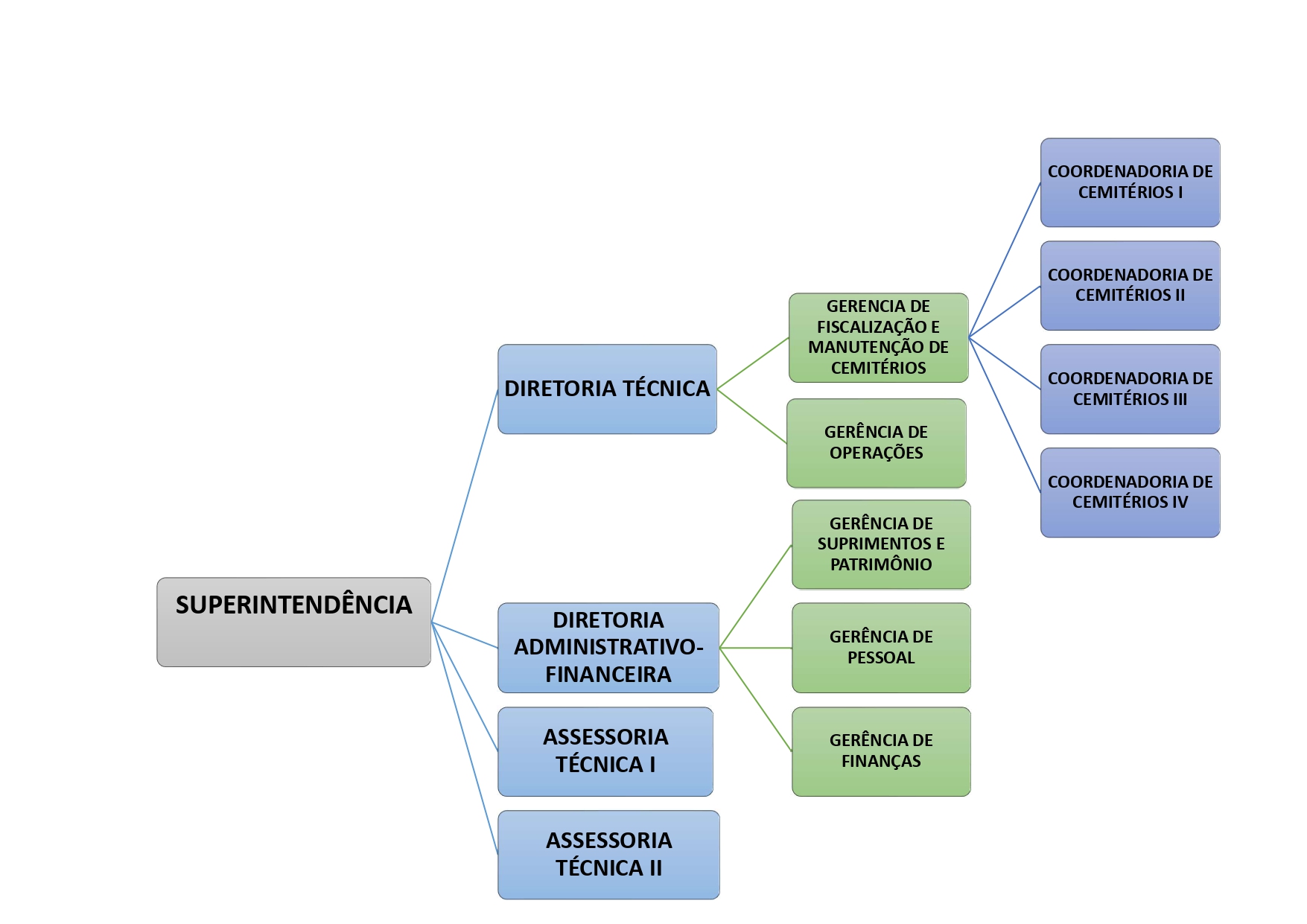 Foto Organo page 0001